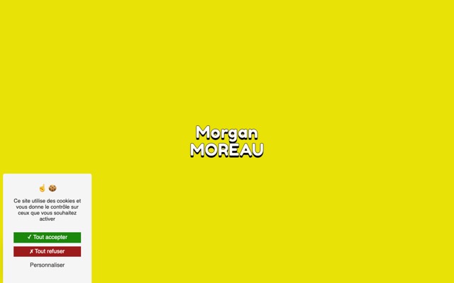 Aperçu du site de Morgan Moreau